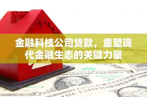 新沂金融科技公司贷款，重塑现代金融生态的关键力量