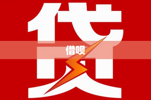 泸水借呗