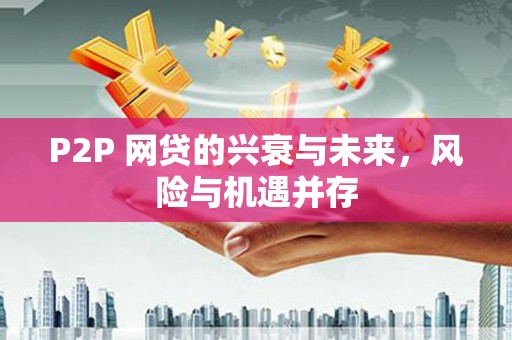 墨江P2P 网贷的兴衰与未来，风险与机遇并存