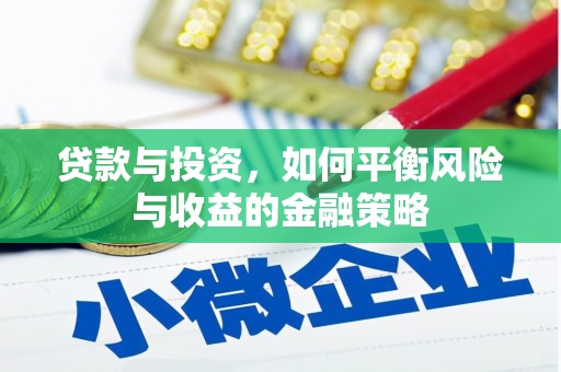 武川贷款与投资，如何平衡风险与收益的金融策略