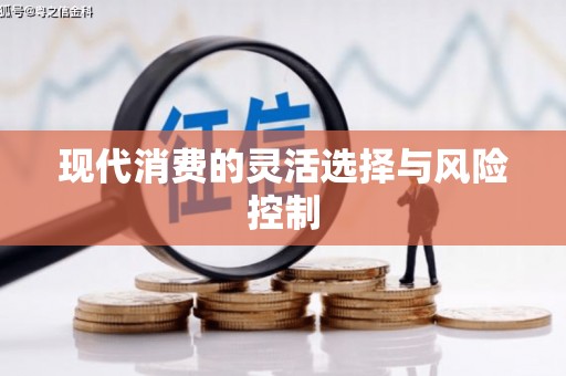 定兴现代消费的灵活选择与风险控制