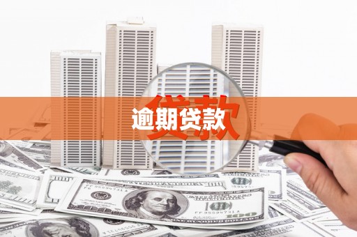西夏逾期贷款