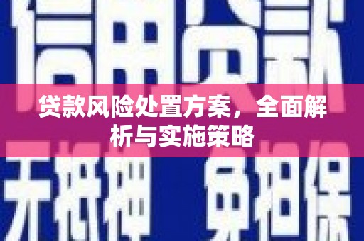 神池贷款风险处置方案，全面解析与实施策略