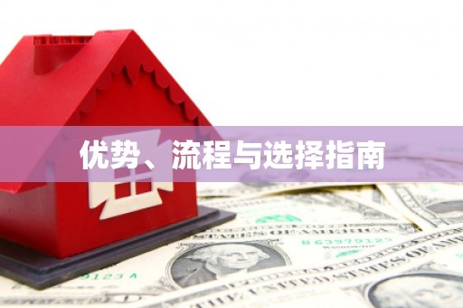 安陆优势、流程与选择指南