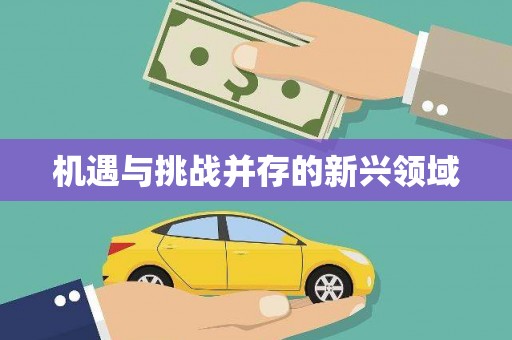 额济纳旗机遇与挑战并存的新兴领域