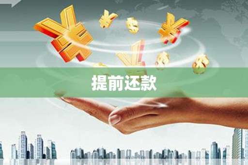 溆浦提前还款