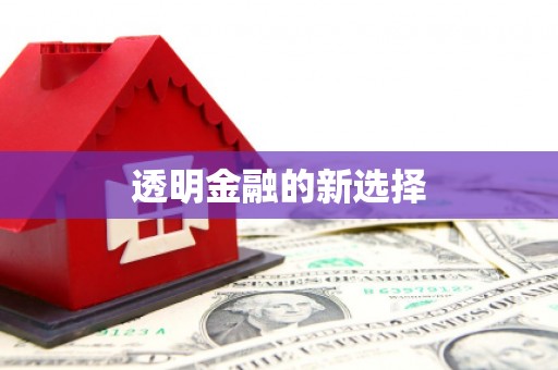 全南透明金融的新选择